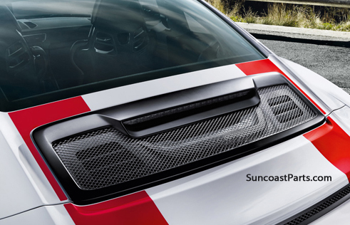 Rear Grille Kit - 911R : Suncoast Porsche Parts & Accessories